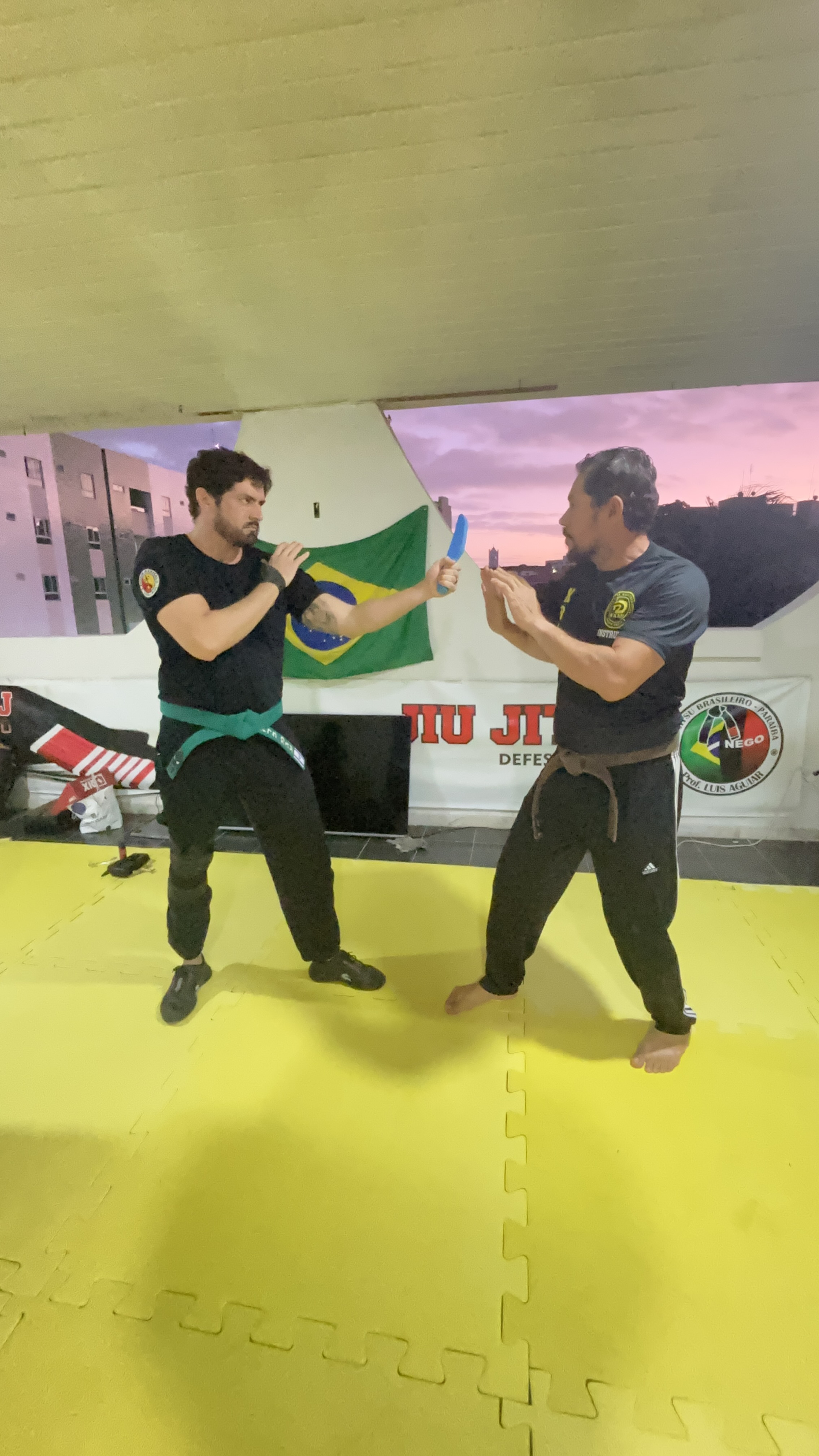 Aulão Nivelamento de Instrutores Def. Pessoal